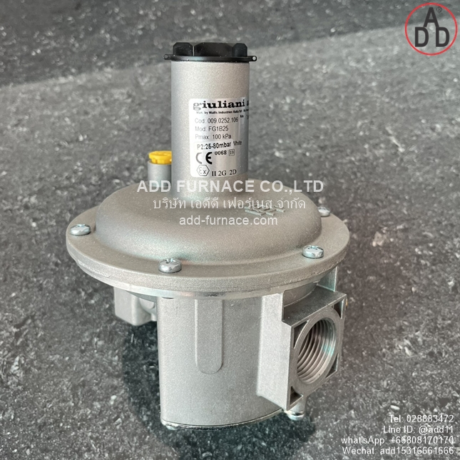 giuliani anello Mod:FG1B25 (10)